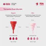 Complete Menstrual Cycle Bundle | Bundling Girlfriend Menstrual Cup Regular & Mini