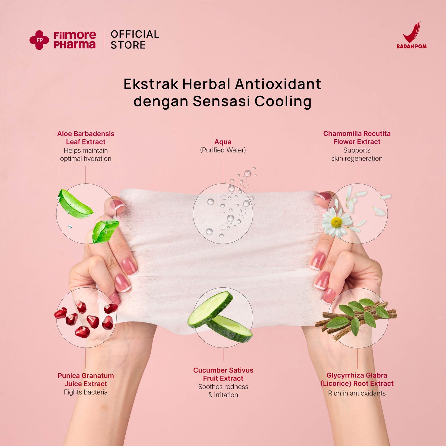 Value Pack Filmore Bestfriend Wet Wipes | Bundling Package